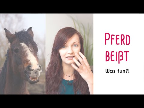 My horse bites | What can I do if...?