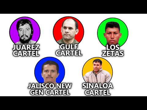 Mexican Drug Cartels Explained in 15 Minutes