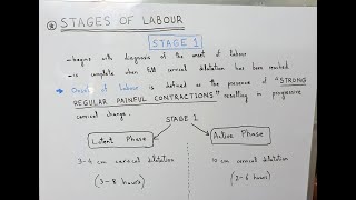 Stages of Labour / Human Parturition