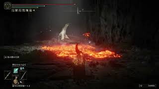 【ELDEN RING】忘れた頃のDLC#5
