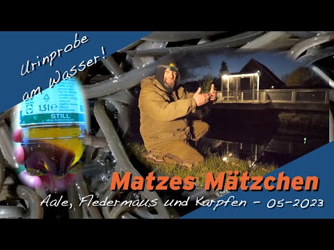 Matze Koch: Aale, Fledermäuse, Karpfen - Matzes Mätzchen 05-2023