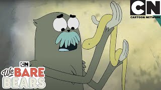 Snake BFF | We Bare Bears | Cartoon Network | Cartoons for kids