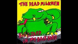 The Dead Milkmen - Takin&#39; Retards To The Zoo