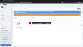 e-Belge Entegrasyonları İçin API Anahtarı Nasıl Oluşturulur? | NES Portal
