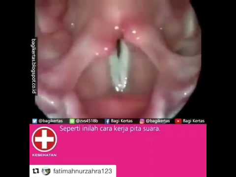 Pelangsing sup seledri Tes apa yang Anda harus lulus sebelum menurunkan berat badan