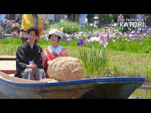 潮来・佐原 水郷の二大あやめ祭り