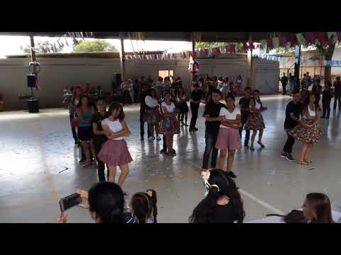 CEF 101 - 9º A e B - Xote da Alegria