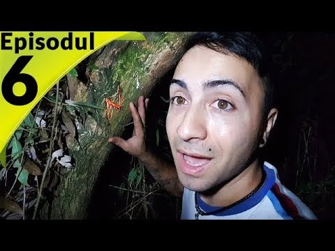 HARRY POTTER'S TREASURE EPISODE 6 - YOU WILL FIGHT DANGEROUS DEMENTORS