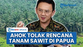 Ahok Galak! Tolak Keinginan Prabowo Tanam Sawit di Papua, Khawatir Bencana Sumatera Terulang