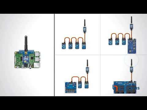 Video NCD 3