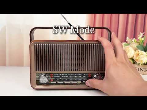 PRUNUS J-120 AM/FM Retro Radio,Bluetooth Speaker,Rechargeable/Plug-in, AUX/TF/USB,Portable & Vintage
