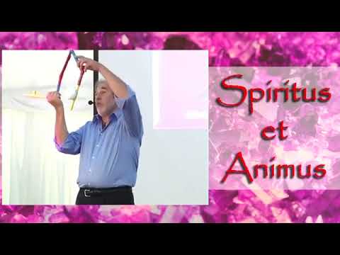 A biologia da Crença por Bruce Lipton, tradução de Ricardo Nagy