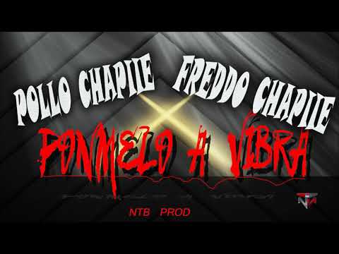 Pollo Chapiie x Freddo Chapiie - Ponmelo A Vibrar (NTB Prod)