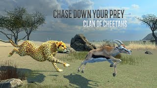 Clan of Cheetahs Android Gameplay HD