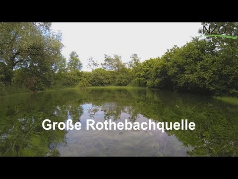 Große Rothebachquelle