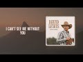 David Lewis - Point of Blue (Lyric Video)