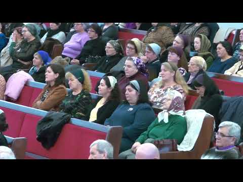 Dacă nimănui nu-i mai pasă de tine. Grupul Sirion