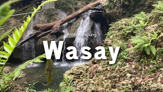 Profil Kampung Wasay - KKN Tematik UNIPA 2022