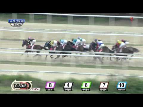 Gukje Sinmun Cup 2014 - Oreuse