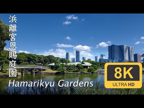 Hamarikyu Gardens - Tokyo - 浜離宮恩賜庭園 - 8K