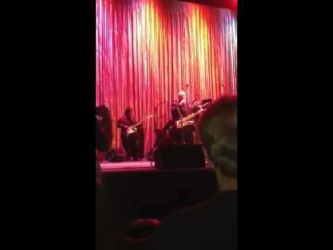 Stormy Monday Blues Patsy Siciliano