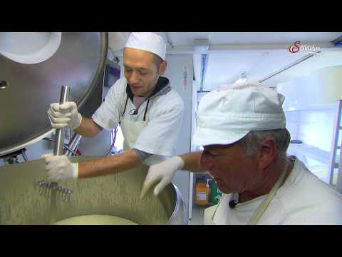 ServusTV auf der Alm - Käse herstellen auf der Gampe Thaya