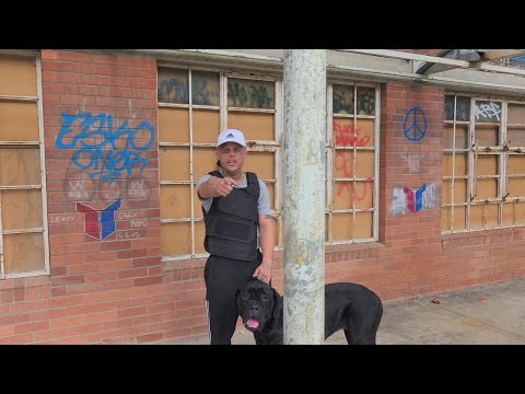 Mearsy - Street Kids (Official Music Video)