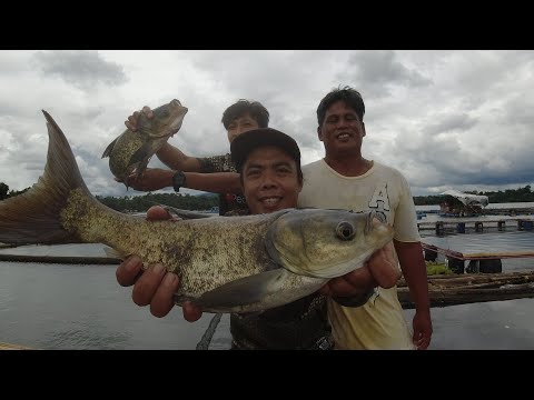 SE02EP078 Part 2 - PAMIMIKOT ng BLACK MASK ( BIG HEAD CARP ) San Pablo City, Laguna