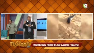 En El Show del Mediodía comentan sobre el tiburón de Sosua