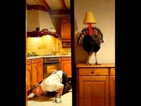 The Thanksgiving Song by Adam Sandler