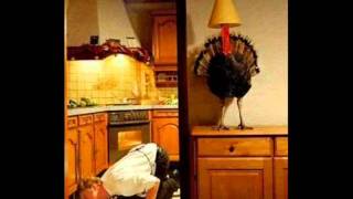 The Thanksgiving Song by Adam Sandler