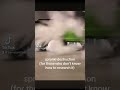 Sprunki Destruction For Those Who Didn T Know