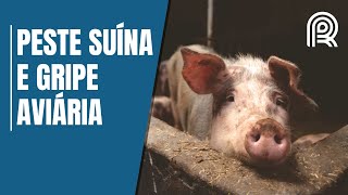 Miniatura do vídeo