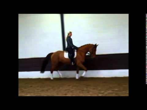 "BELLISSIMA" v. Blickpunkt VB 4.000,- Euro -FOR SALE-