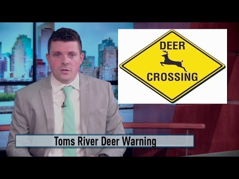 NJ Toms River Deer Warning