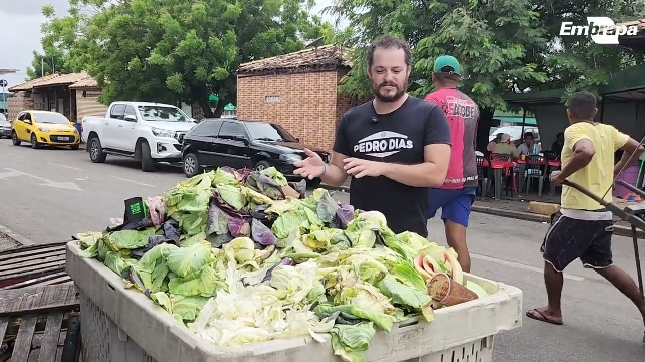 Desperdício de alimentos: um problema que vira energia