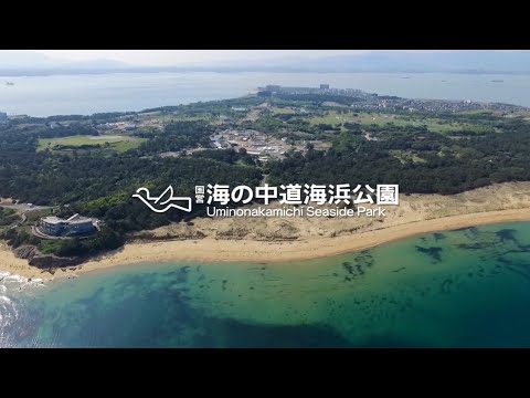 海の中道海浜公園 -福岡- PRvideo2023
