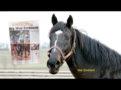 Old Friends, War Emblem