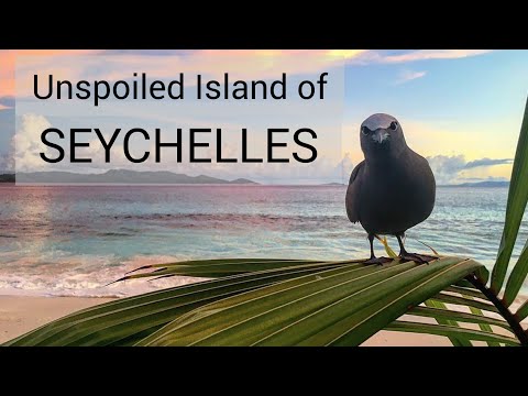 Unspoiled Island of Seychelles | Explore Seychelles | Aride Island