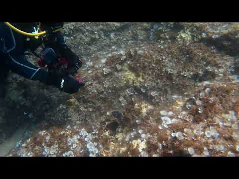 2022 0518 113855 064