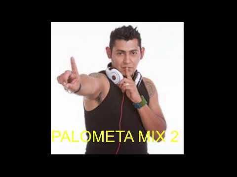 Palometa Mix 2 año 2009