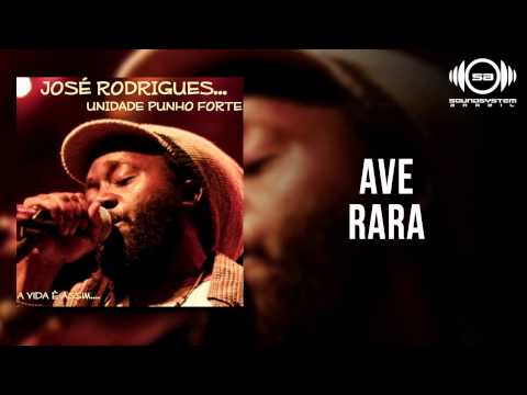 José Rodrigues - Ave rara