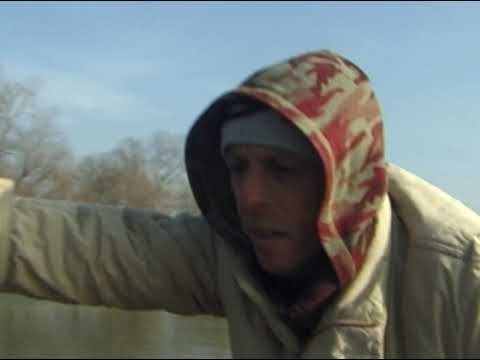 Antologia de Folclor a Județului Alba - BRUDARI (Onica Stan din Șibot)