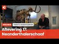 Twents Kwartearken aflevering 17: Neanderthalerschaaf gevonden in Enschede