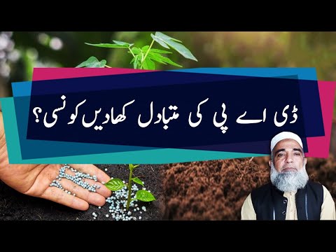 DAP alternate Fertilizers | Crop Reformer