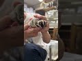 フクロモモンガのYouTubeサムネイル画像