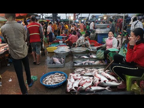 Early Morning Activities of Vendors @Fish Market - The Second Site Distribute Fish & SeaFood in Town
