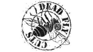 Oldschool Dead Fly Cuts Compilation Mix by Dj Djero