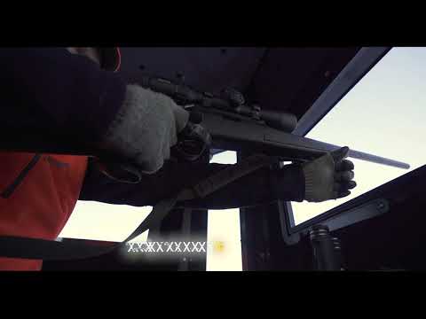 Hawk Office Box Blind