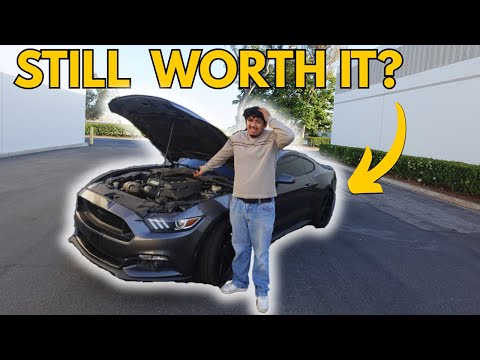 Is a 2017 Mustang GT Still worth it in 2025?(CANYON POV)